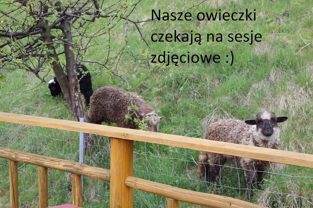 Domki Pod Zielonym Wierchem Zakopane Exteriér fotografie